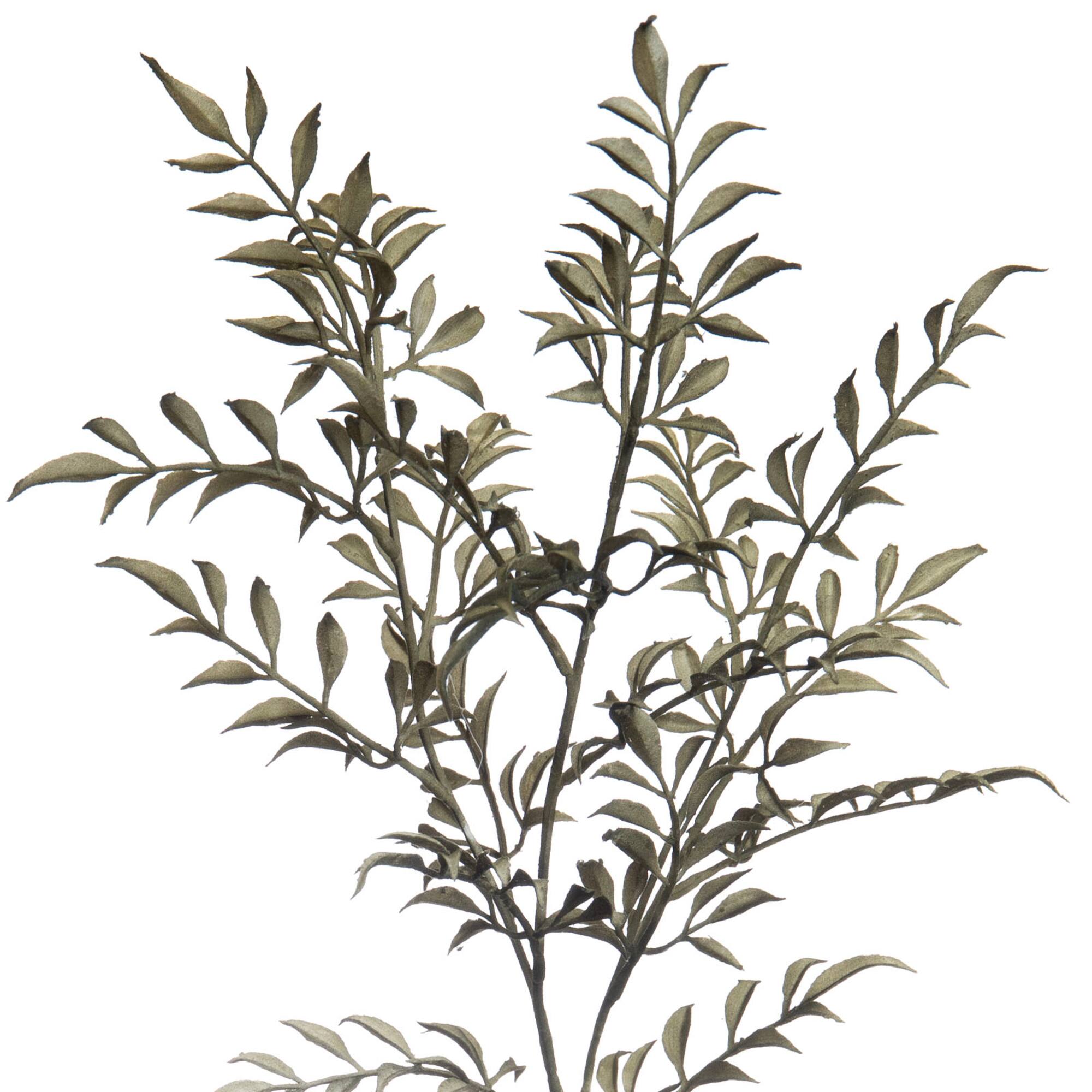 Green Sharp Fern Stem by Ashland®